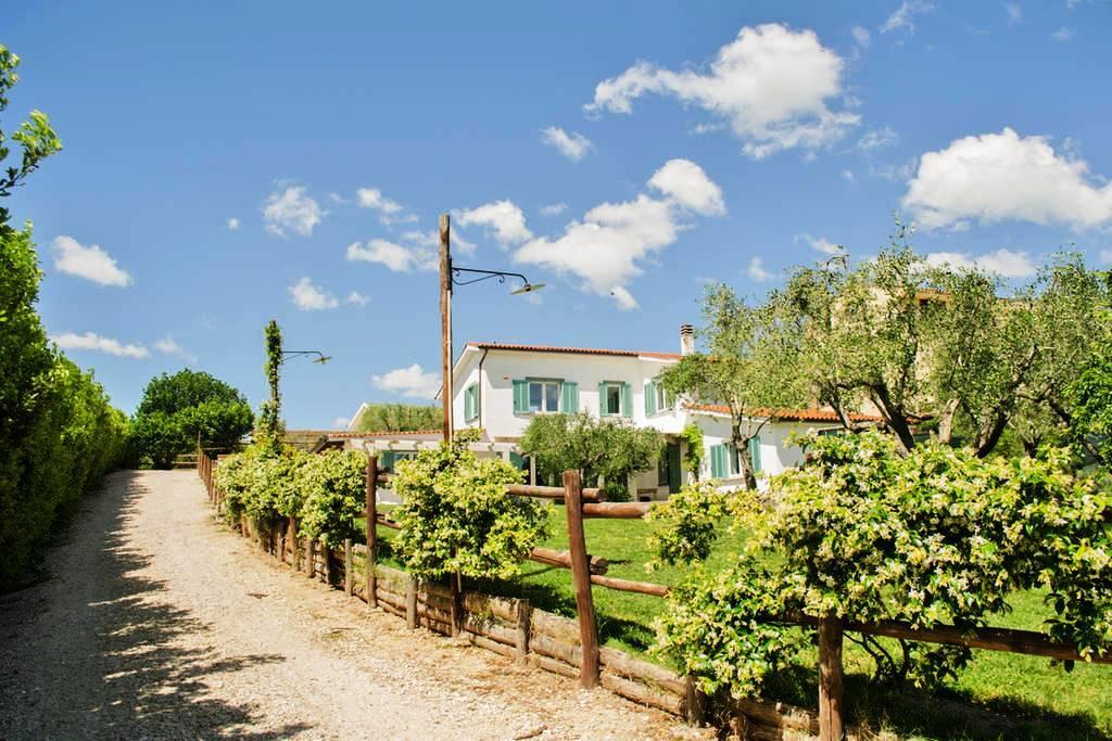 Bed & Breakfast La Piccola Fattoria Formello